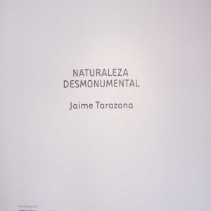 JT_Naturaleza-desmonumental_2