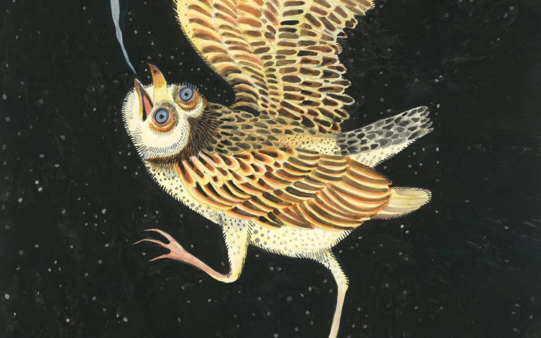 Desde una misma especie