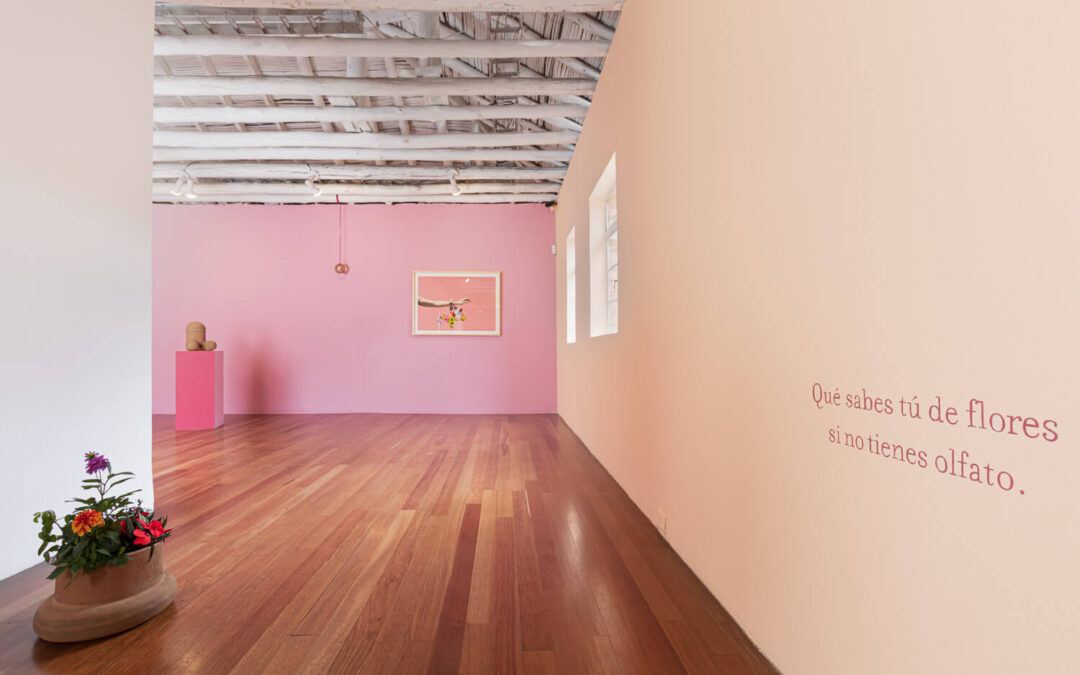 Qué sabes tú de flores si no tienes olfato