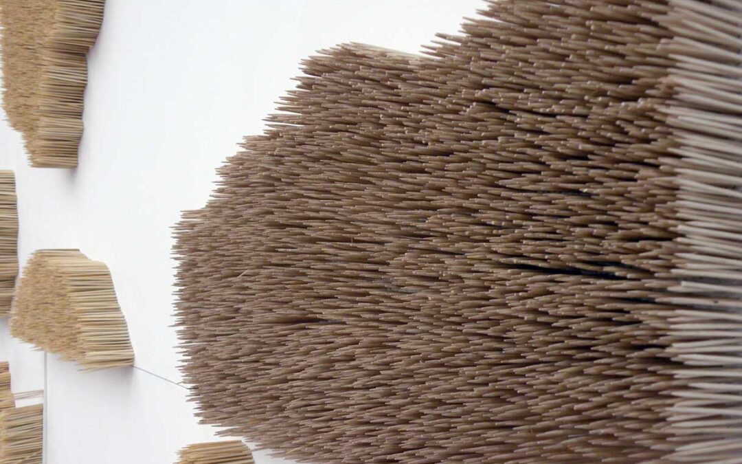 Asimetría territorial