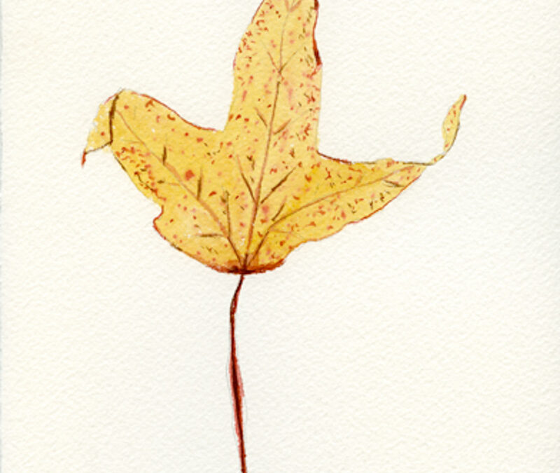 Ejercicios de pintura